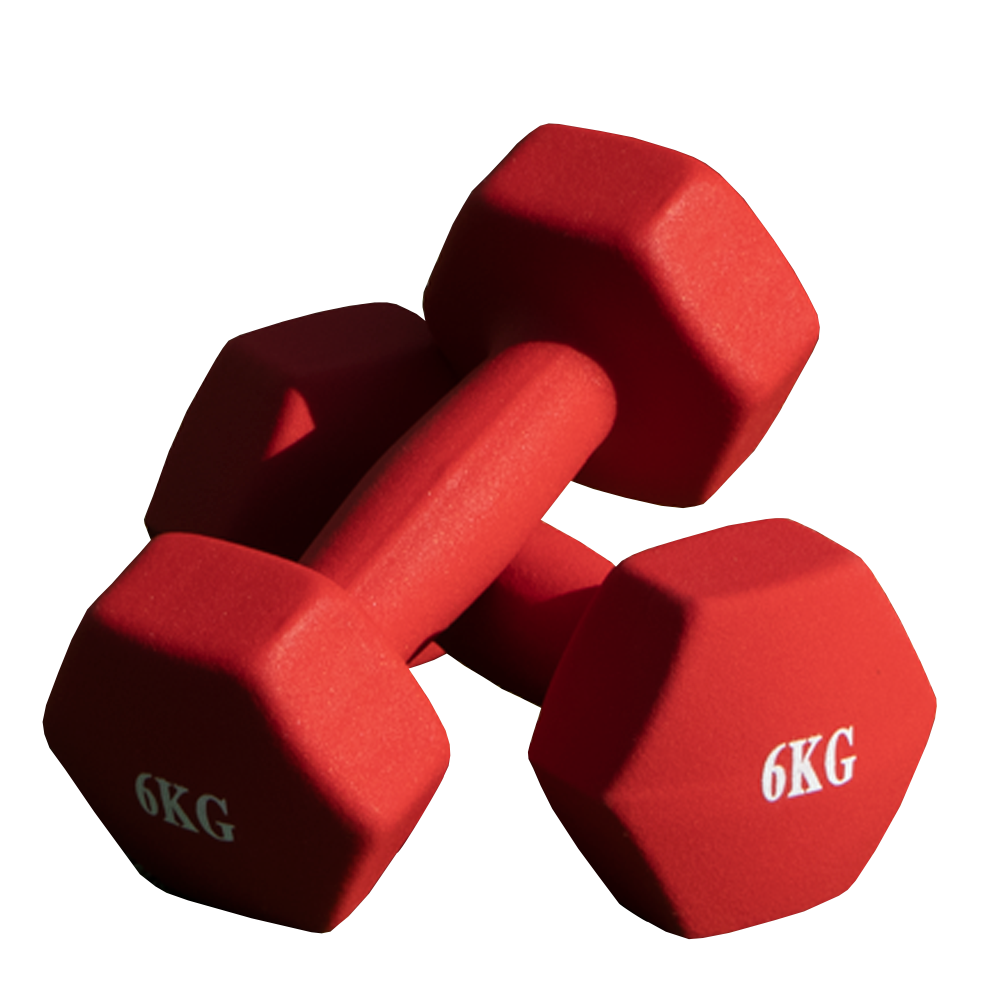~/DUMBLLS - 6kg - PL-936