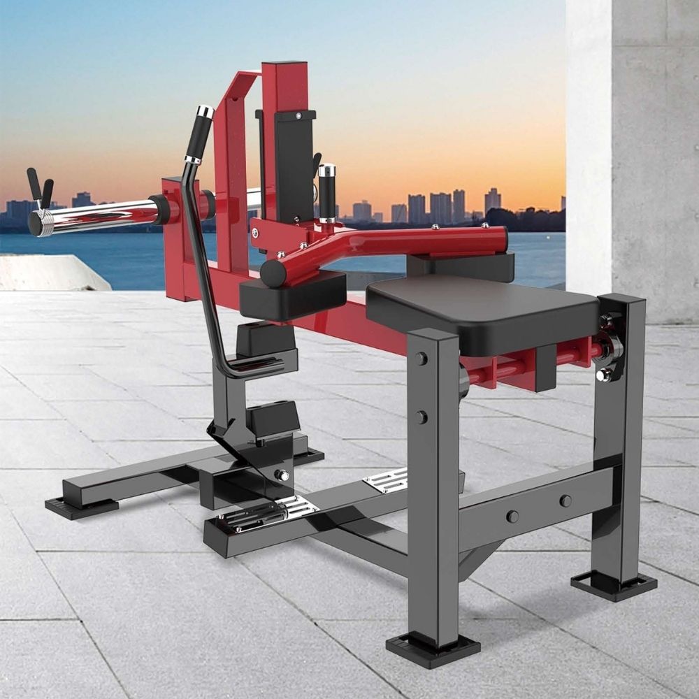 ~/Seated Calf Machine Xvs-19