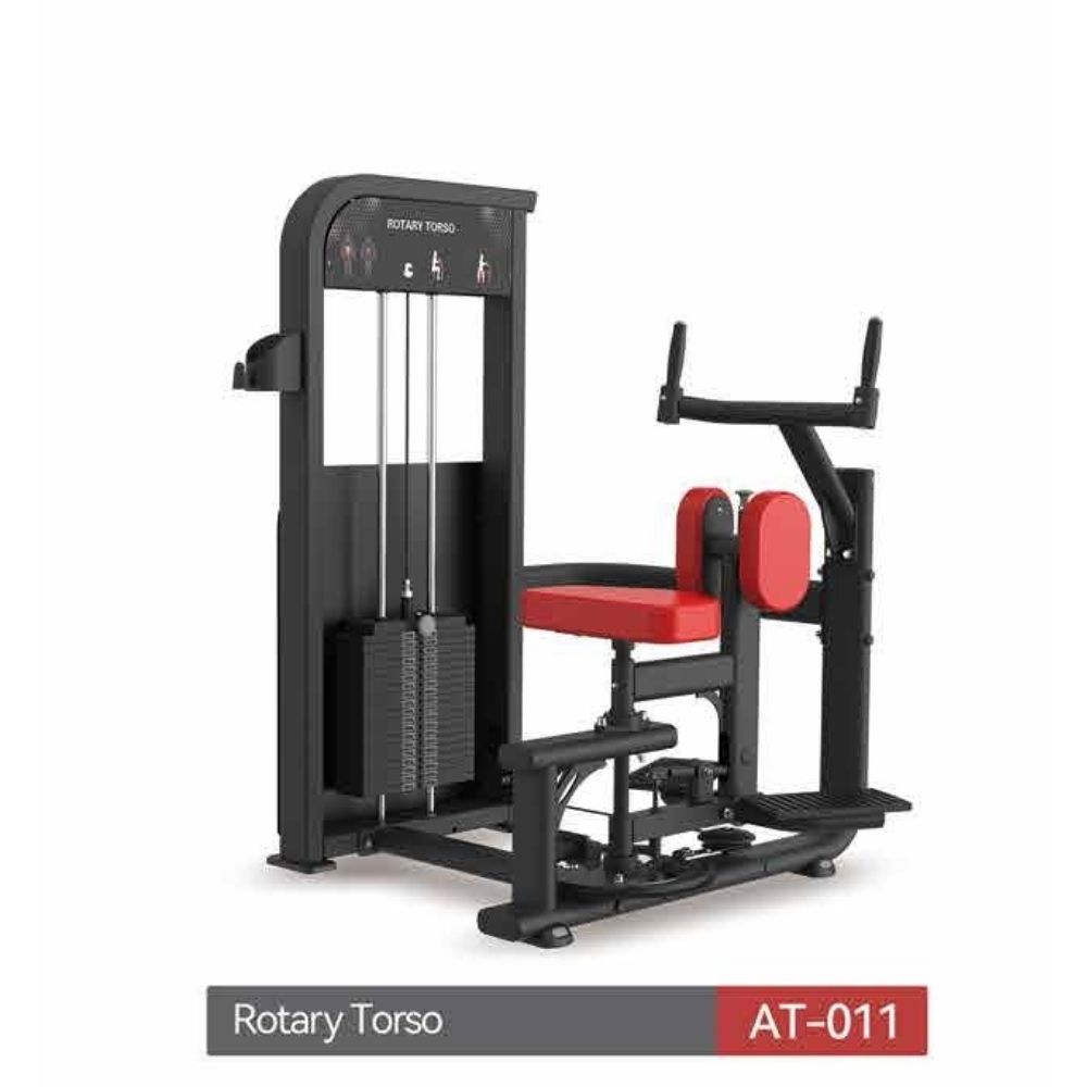 ~/Rotary Torso at011