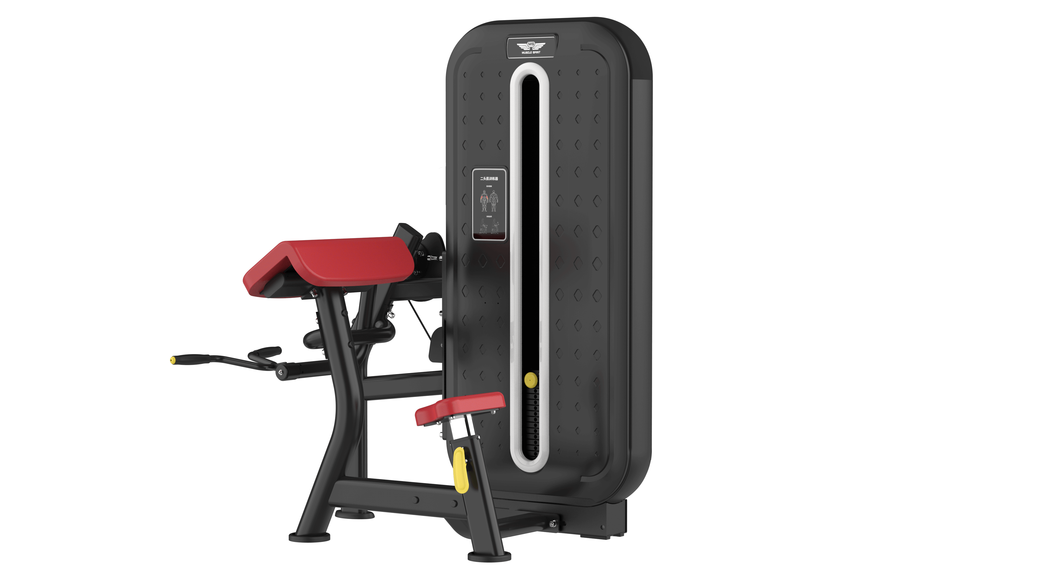 ~/BICEPS CURL -  M8F-006