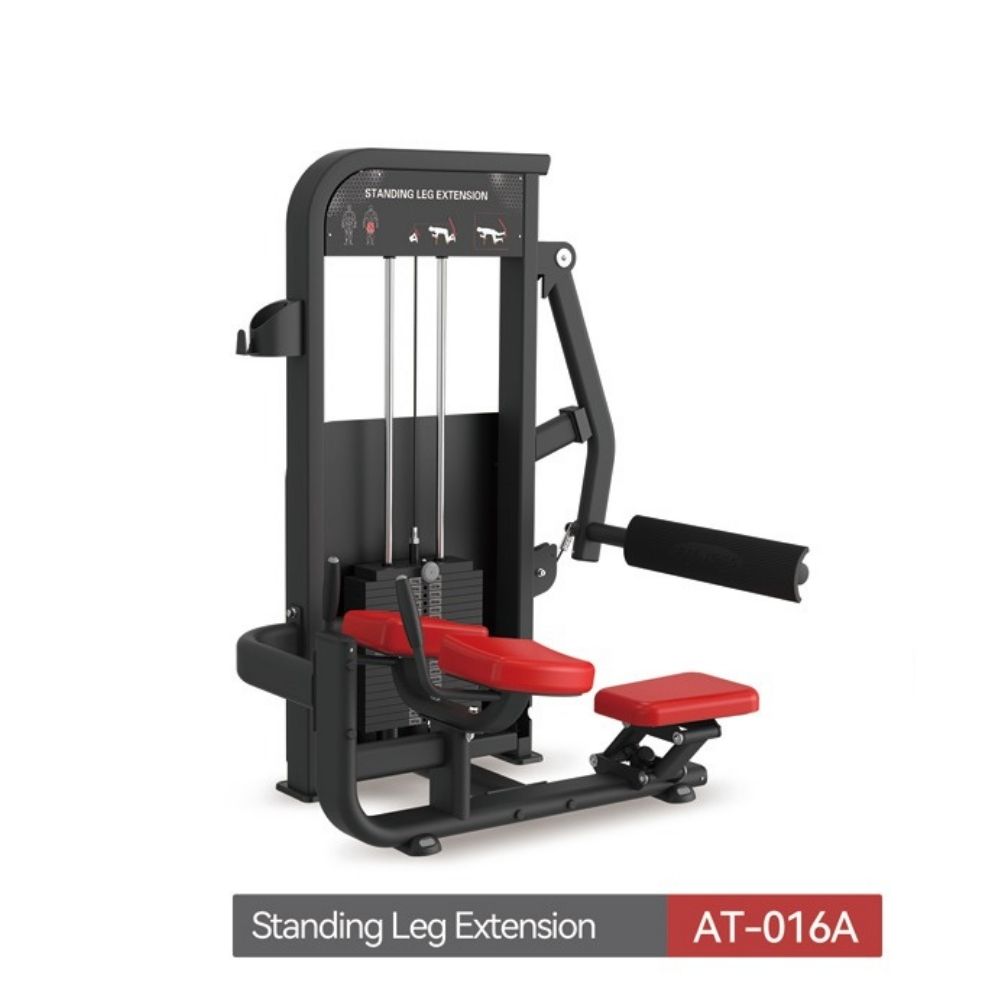 ~/Standing leg Extension at016A